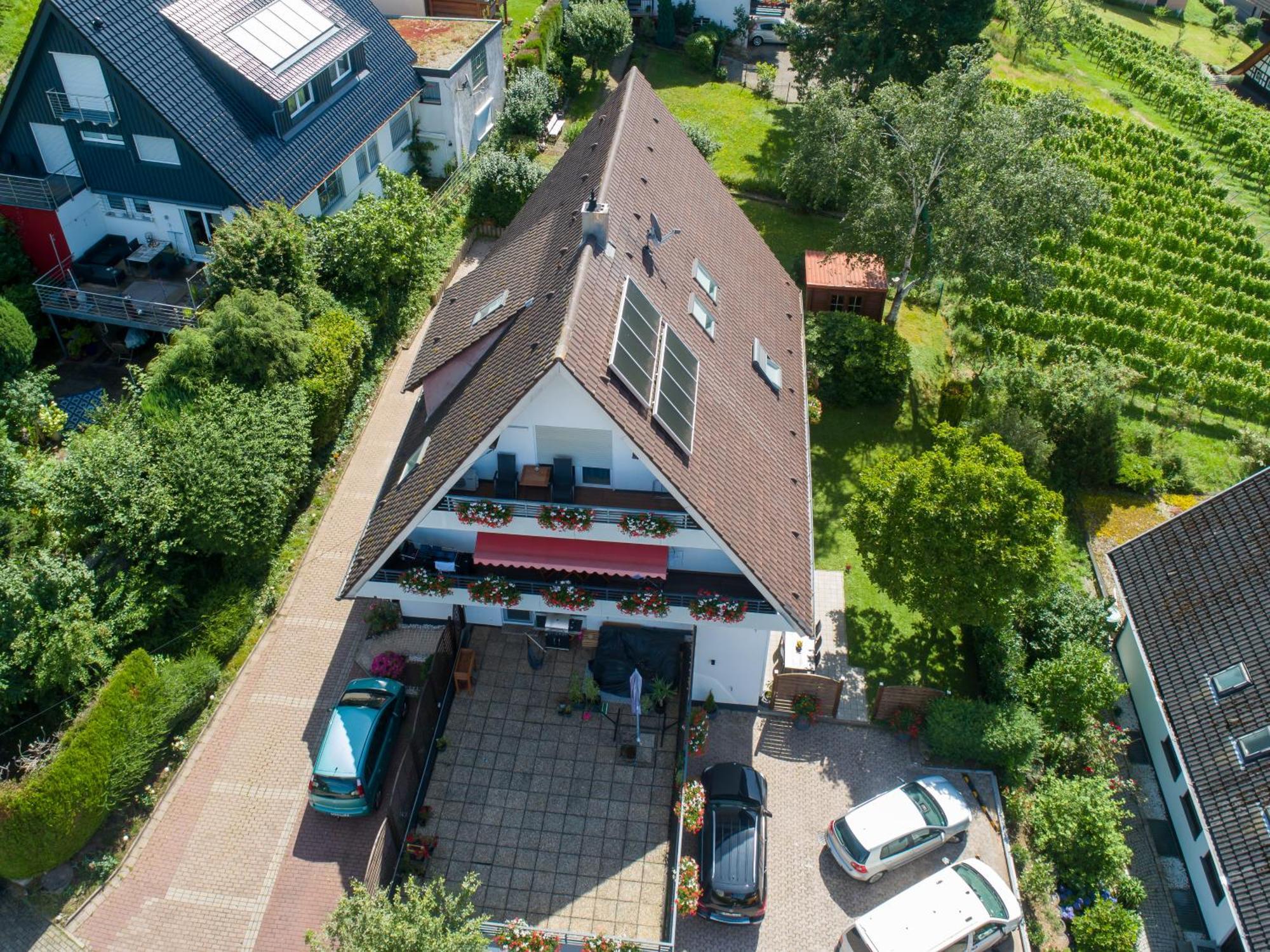 Renatas Ferienwohnung Wohnung David Sasbachwalden Dış mekan fotoğraf